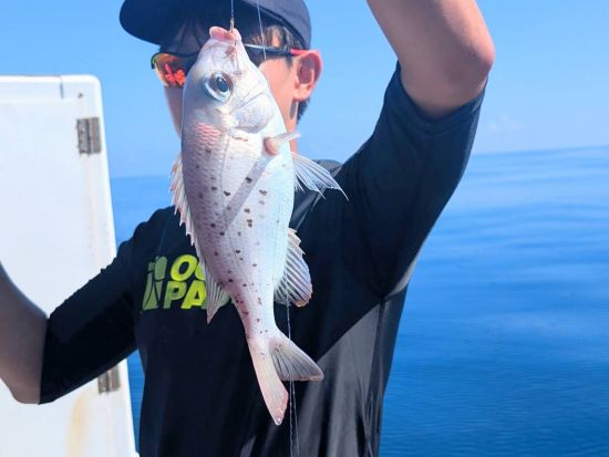 レジャーフィッシング 簡単五目釣りでお魚をゲット♪船釣りデビューにもオススメ！＜約2時間／小浜島発着＞