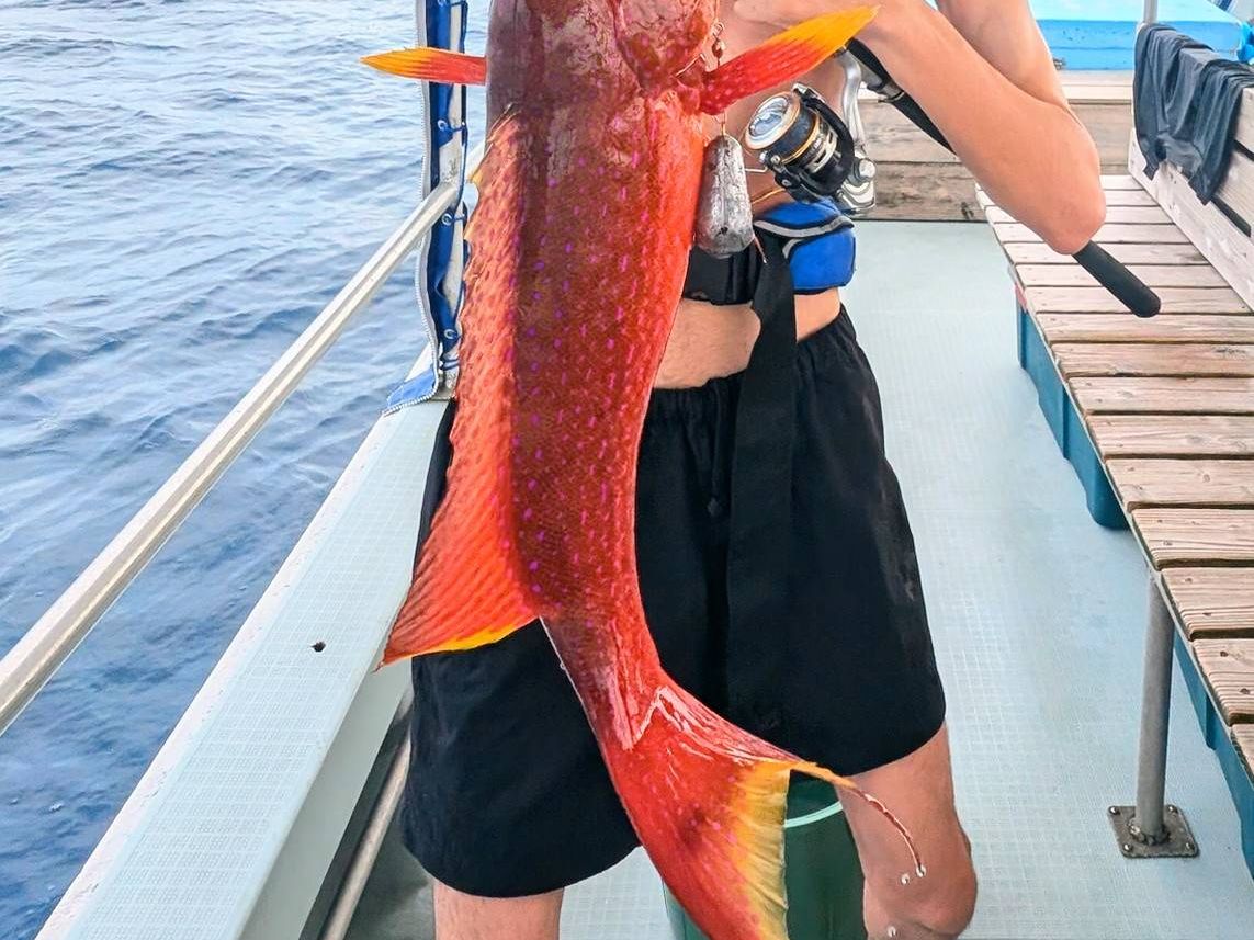 20241202094551_922188516_14732