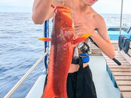 レジャーフィッシング 簡単五目釣りでお魚をゲット♪船釣りデビューにもオススメ！＜約2時間／小浜島発着＞