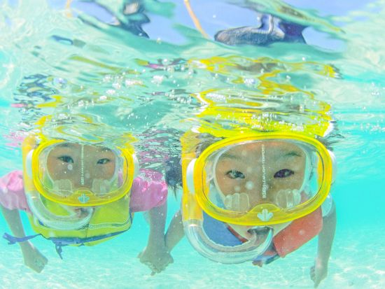 幻の島上陸＆美ら海シュノーケリング 半日で楽しむ海の冒険！ご家族連れにもオススメプラン◎＜約3時間／小浜島発着＞