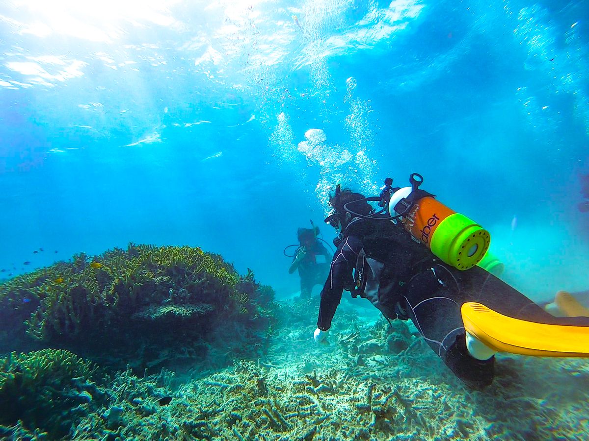 ダイビング | 小浜島 旅行の観光・オプショナルツアー予約 VELTRA
