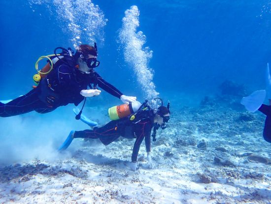 半日体験ダイビングツアー 初心者オススメプラン◎ライセンス不要で気軽に水中世界を大冒険！＜約3時間／小浜島発着＞
