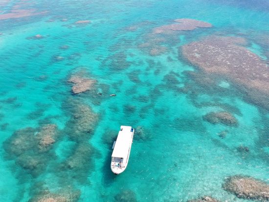 半日体験ダイビングツアー 初心者オススメプラン◎ライセンス不要で気軽に水中世界を大冒険！＜約3時間／小浜島発着＞