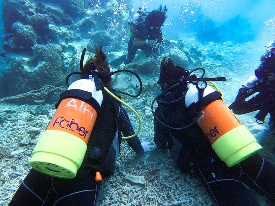 小浜島の体験ダイビング