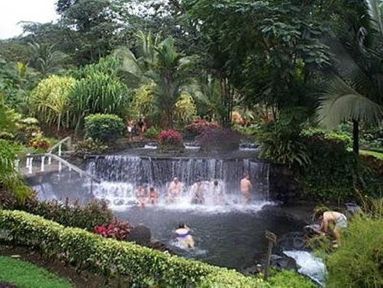 コスタリカの熱帯雨林＆タバコン温泉満喫！ サンホセ＋フォルトゥーナ＋モンテベルデをめぐる6泊7日 ＜英語ガイド＞