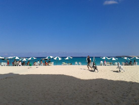 【カイロ発 シーワオアシス2泊3日】3つ星ホテルに宿泊！アレキサンダー大王ゆかりの地や塩湖の絶景を堪能＜貸切／日本語＞