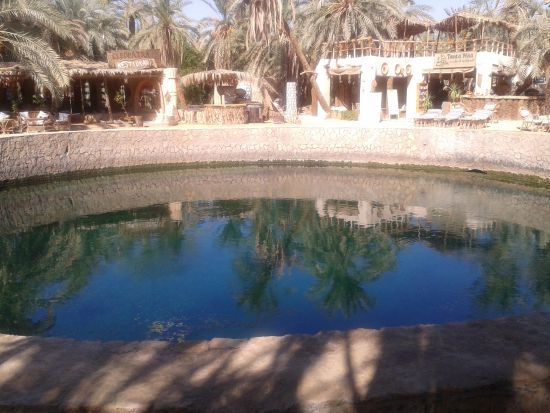 【カイロ発 マルサマトルーフ＆シーワオアシス3泊4日】歴史と絶景を巡るエジプト秘境への旅＜貸切／日本語＞