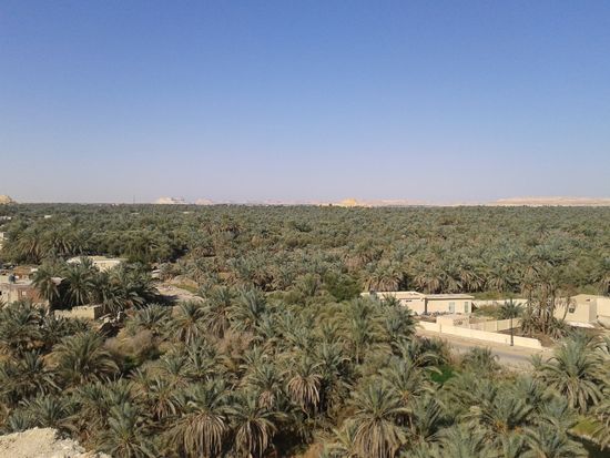 シーワオアシス