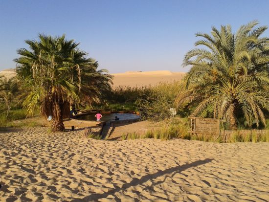 【カイロ発 マルサマトルーフ＆シーワオアシス3泊4日】歴史と絶景を巡るエジプト秘境への旅＜貸切／日本語＞