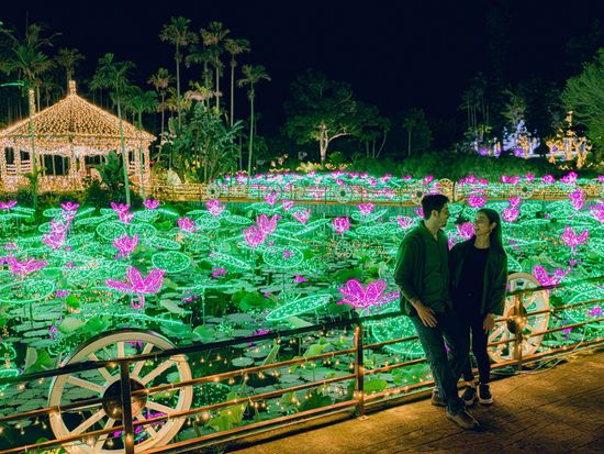 f45bacbca069c594fd5c28d7ab5adbbc