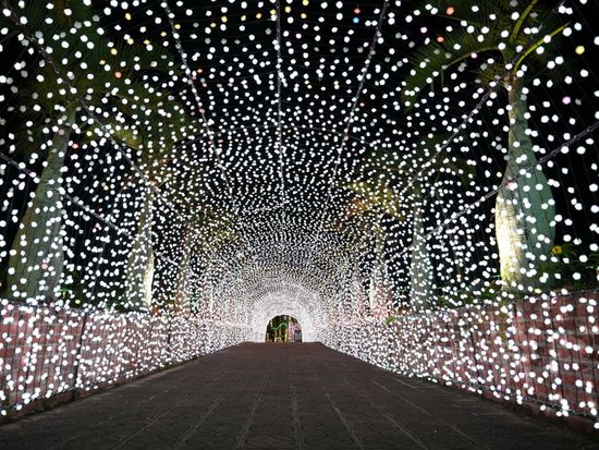 81ee0e9deca65614f7f4208c40436d6d