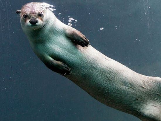 e200e8d0b38c45a3aee2e10d6aca661a