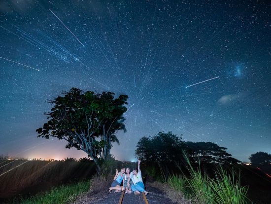 パロネラパーク&星空鑑賞ツアー　昼と夜のパロネラパーク＋野生の動物探しも楽しめる！星空フォト付きプランもあり＜日本語／ケアンズ発＞