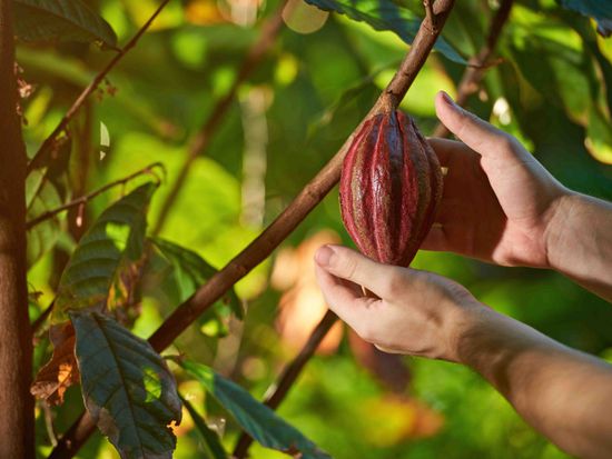 shutterstock_610287686