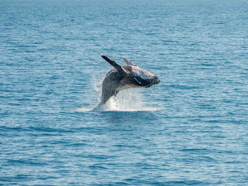 shutterstock_365438468 (1)