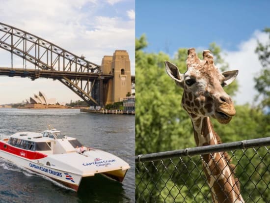 taronga zoo and ferry