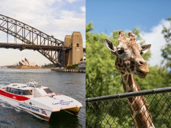 【入場チケット＋往復フェリーチケット】タロンガ動物園（Taronga Zoo Sydney）☆世界三大美港シドニー湾の絶景をフェリーから堪能！