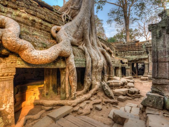 Siem Reap_Angkor_Ta Prohm_shutterstock_133249385
