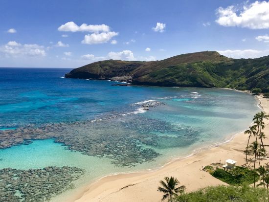 ハナウマ湾シュノーケリング　プロの日本語インストラクターのレッスン付き　選べる少人数制プランまたは貸切チャーター＜半日または1日／水中写真付き＞