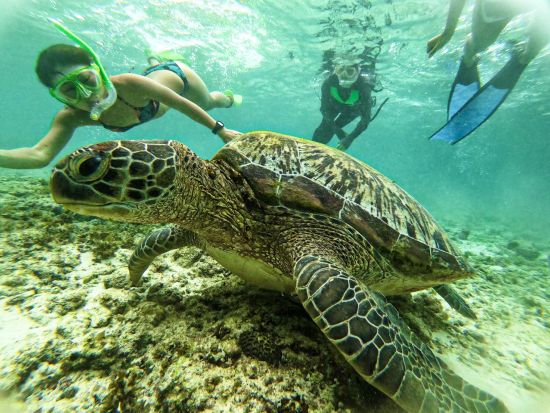 カワサン滝キャニオニング＋モアルボアルシュノーケリング　ローカルフードのランチ付き＜1日／日本語ガイド／ホテル往復送迎＞ by Fun Group