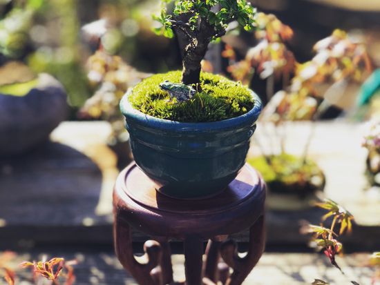 65355279-10C4-4E67-8217-BA5B387AC75E