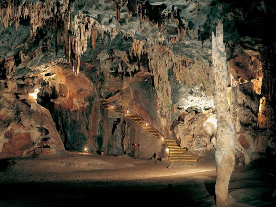 【ケープタウン発ポートエリザベス着 3泊4日】アグラス岬＋オウツフルン＋ナイズナ観光＜混載／英語／市内または空港送迎＞