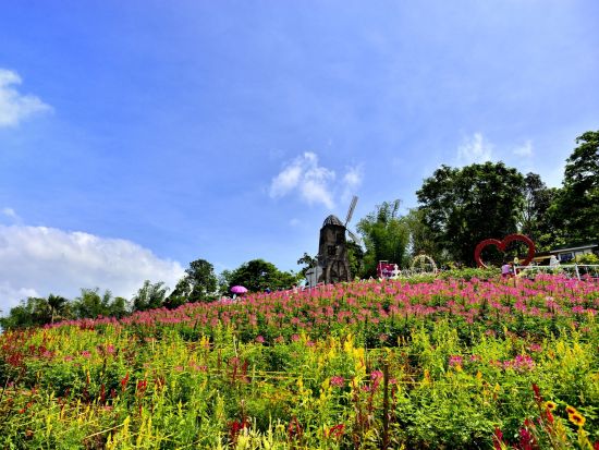 セブ郊外観光ツアー 絶景名所巡り！テンプル・オブ・レイア＋シラオガーデン＋夜景を望むディナー ＜半日／日本語ガイド／ホテル往復送迎＞ by Fun Group