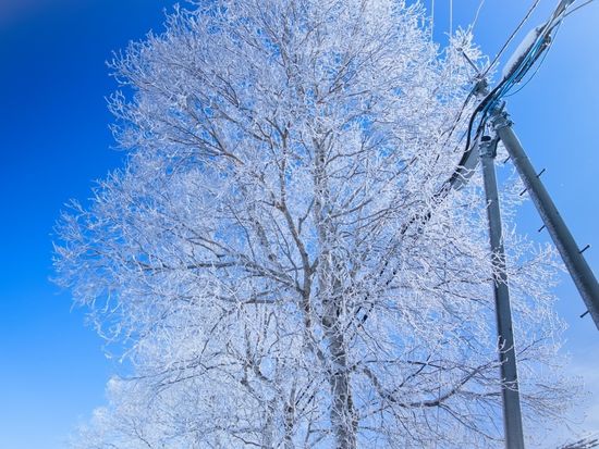 ec3fd508-984d-4bcf-9a58-a37953fb7b1c