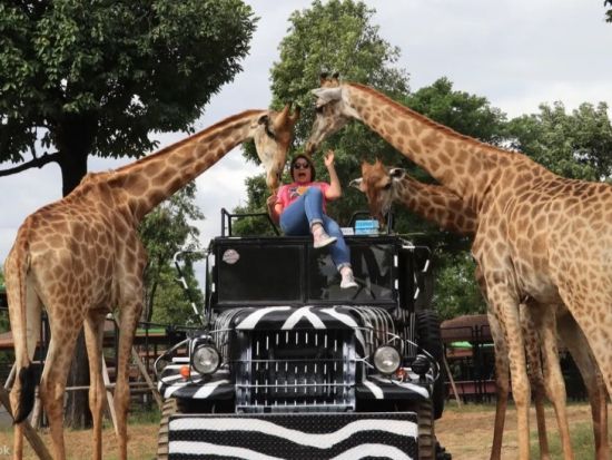 キリンとの写真撮影？！アユタヤ遺跡＆シーアユタヤライオンパークツアー　民族衣装体験可 ＜昼食付き／英語ガイド＞