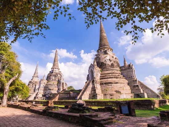 キリンとの写真撮影？！アユタヤ遺跡＆シーアユタヤライオンパークツアー　民族衣装体験可 ＜昼食付き／英語ガイド＞