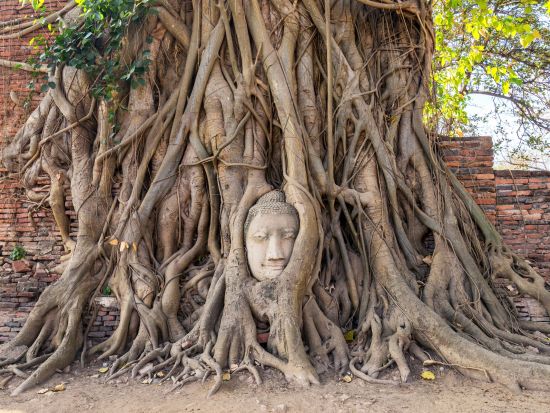 【コスパ最強】アユタヤ3大遺跡＋水上マーケット＋メークロン鉄道市場観光ツアー　人気スポットを1日で堪能＜日本語ガイド／ジョッドフェアーズ ナイトマーケット解散＞