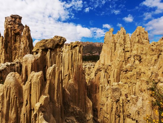 shutterstock_165025886