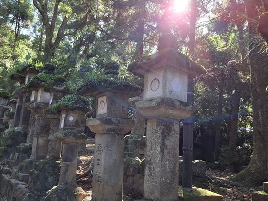 ae8ae4ce-2ab4-4bec-9d13-8fdc2cf7