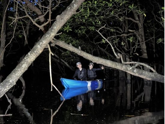 【石垣島】年間1500名以上案内！1日1組限定貸切。島人ガイドと行く秘密の絶景サンセット＆ナイトカヤック（星空保護区を探検する神秘体験／初心者も安心。写真＆動画