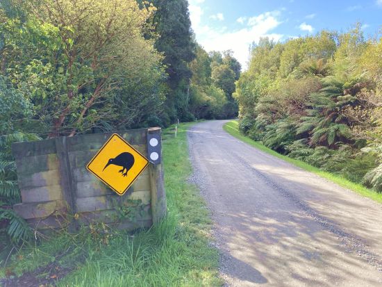 クイーンズタウン⇔ブラフ港 送迎サービス　スチュアート島フェリー乗船券付き！空港送迎も選択可能＜貸切／日本語ドライバー／クイーンズタウンorオーバン発＞