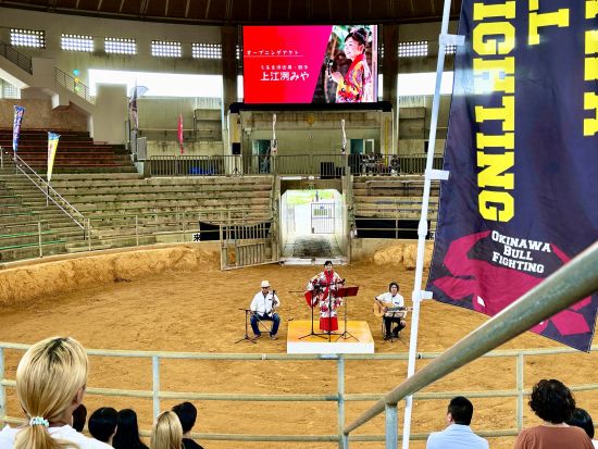 観光闘牛 in うるま市 迫力満点のエキシビジョンマッチ＆記念撮影付き！＜約1時間／バリアフリー対応＞