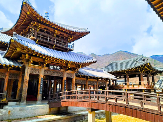 【貸切】龍仁大長今パーク観光チャーター　水原市内観光付きプランあり＜空港送迎オプション選択で帰国日も対応＞