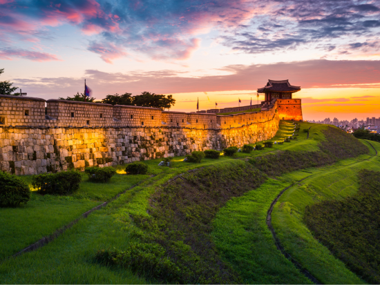 【貸切】龍仁大長今パーク観光チャーター　水原市内観光付きプランあり＜空港送迎オプション選択で帰国日も対応＞