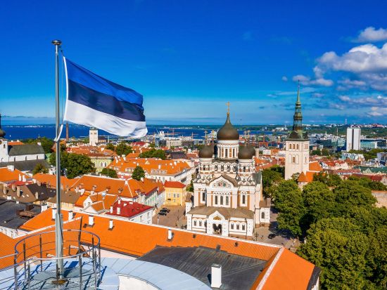 ヘルシンキからフェリーで行く！エストニア・タリン 日帰りプライベートツアー｜雑貨巡り又は歴史探訪＜往復フェリーチケット込み／昼食付／日本語ガイド＞