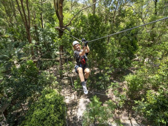 TreetopChallenge_CurrumbinAdventurePark_Zipline-min