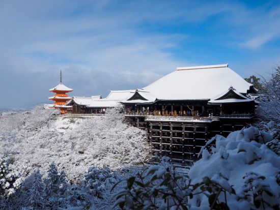 貸切観光タクシー 金閣寺＋龍安寺＋二条城＋清水寺＋伏見稲荷大社 アルファードまたはハイエース＜定員5～9名／京都駅発＞by マツシマモビリティサービス