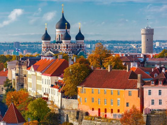 ヘルシンキからフェリーで行く！エストニア・タリン 日帰りプライベートツアー｜雑貨巡り又は歴史探訪＜往復フェリーチケット込み／昼食付／日本語ガイド＞