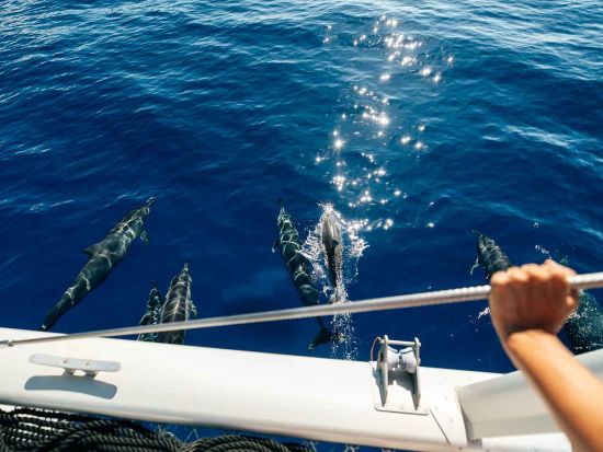 カップルクルーズ　 ヒリラニ号　カップル限定のロマンチックなクルーズ　最大3組までの少人数制！＜2時間／午後／ワイキキ発＞