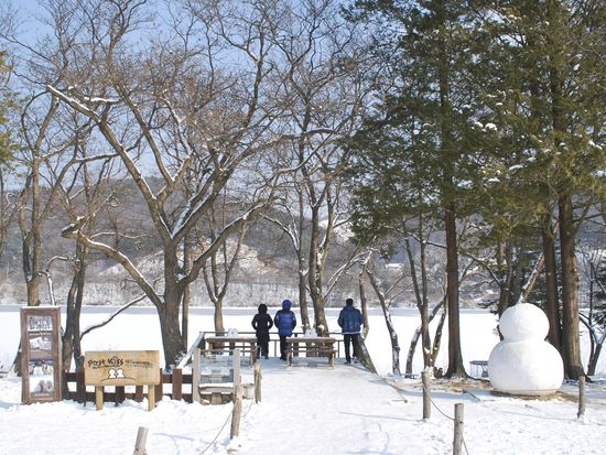 Nami Island-Winter-02