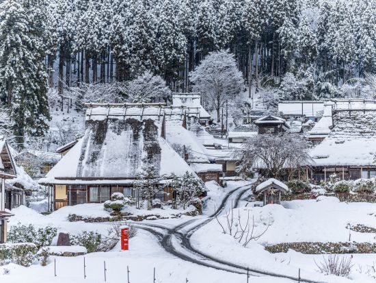 貸切観光タクシー 金閣寺＋嵐山＋美山かやぶきの里 アルファードまたはハイエースから選択＜8.5時間／定員5～9名／京都駅発＞byマツシマモビリティサービス