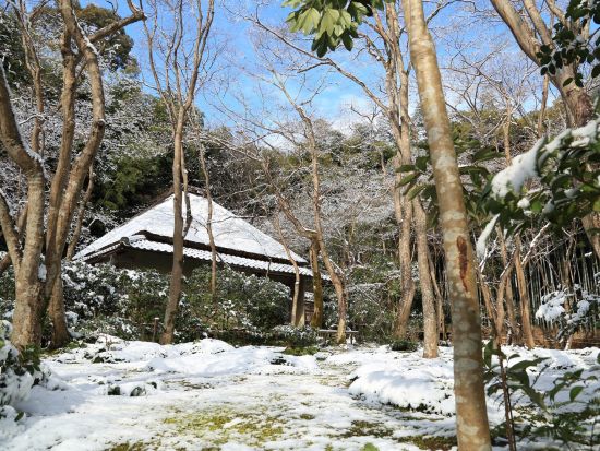 貸切観光タクシー 嵐山＋天龍寺＋祇王寺＋大覚寺 アルファードまたはハイエースから選択＜4時間／定員5～9名／京都駅発＞by マツシマモビリティサービス