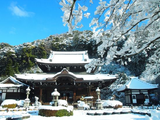 貸切観光タクシー 平等院＋宇治上神社＋三室戸寺 他 アルファードまたはハイエースから選択＜定員5～9名／京都駅発＞byマツシマモビリティサービス