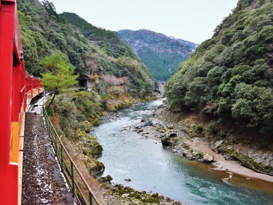 大阪発日帰りツアー 【数量限定】嵯峨野トロッコ列車と嵐山屋形船、清水寺を巡る 京都優雅紀行 嵐山の四季彩る風景、屋形船で味わう京の風情、世界遺産・清水寺の絶景