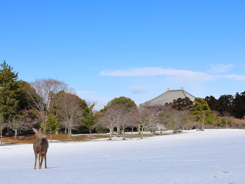 20231213003728_1790989424_12123