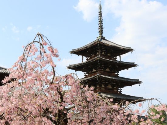 貸切観光タクシー 法隆寺・中宮寺・慈光院・薬師寺など「西ノ京」をめぐる 古都奈良おすすめコース ＜4.5時間／1～9名／奈良市内送迎可＞ by 服部タクシー